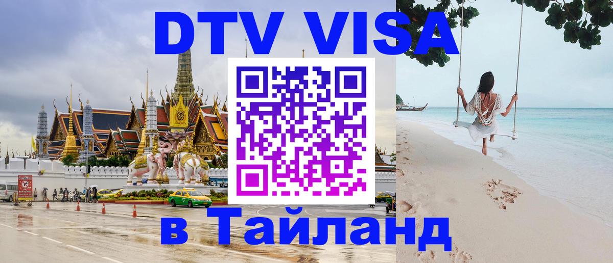 Сколько стоит DTV виза — актуальные цены, оформление даже без документов - Волгоград 